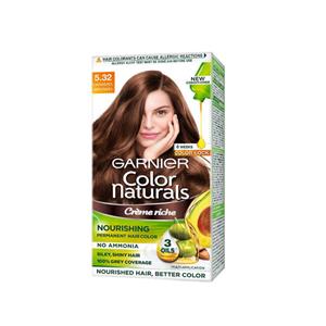 Garnier Hair Color Shades